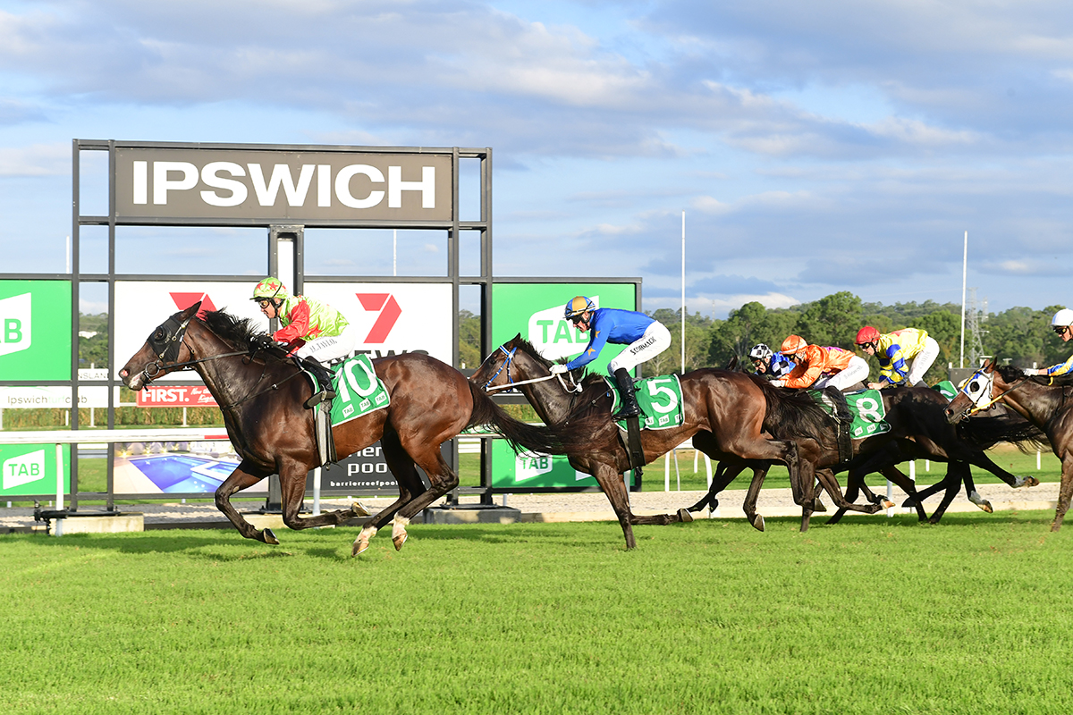 Ipswich Selections – Thursday 15 February 2024